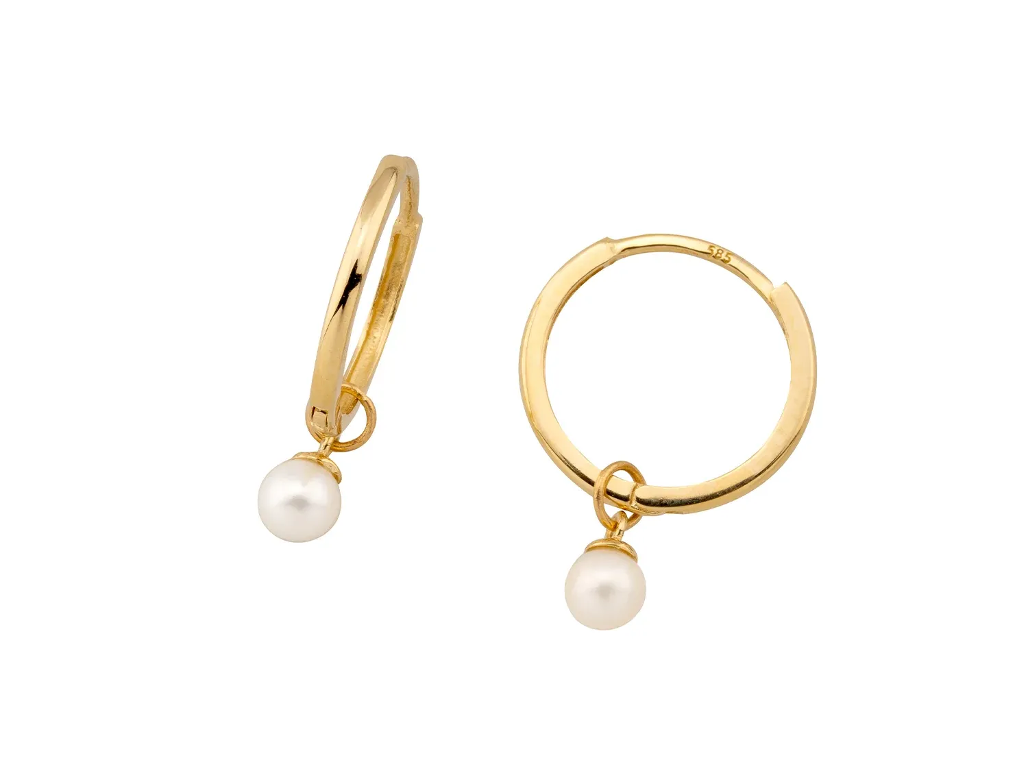 Creolen Nios – Bild 6